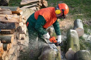 Foto: Holzfäller
